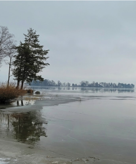 Havet i Sverige en dimmig dag utan sol